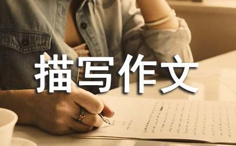 老年篮球爱好者如何保持罚球的手感？_0